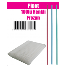 Pipet 100lü Renkli frozan