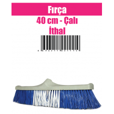 Fırça 40 cm -Çalı İthal